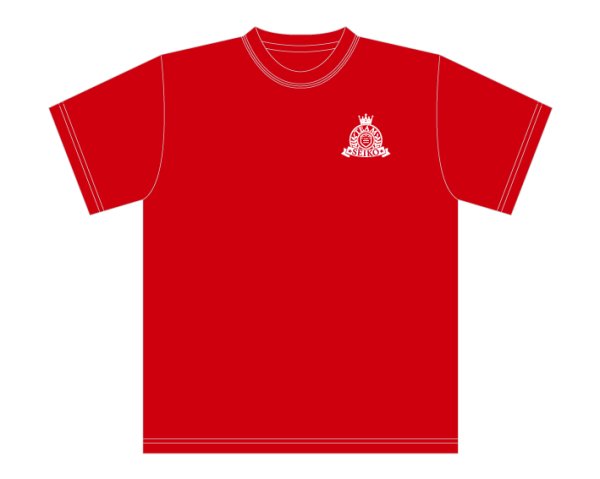 画像1: TEAM SEIKO NewロゴTシャツ RED (1)