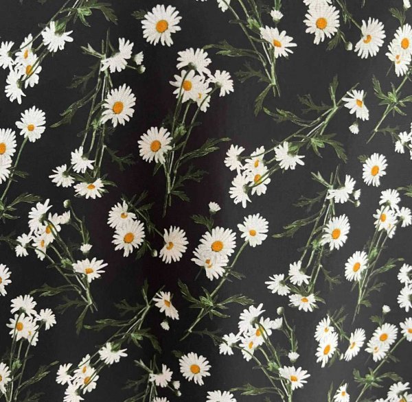 画像2: 2025 F.M フレアーワンピース (デイジー)BLACK (2)