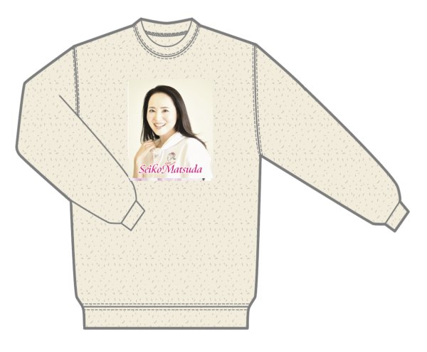 画像1: 2026 ピクチャートレーナー OATMEAL (1)