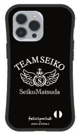 松田聖子 2009年 陶器プレート Seiko Matsuda 2009 写真入りプレート松田聖子 - メルカリ